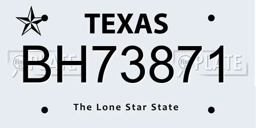 BH73871 Texas License Plate