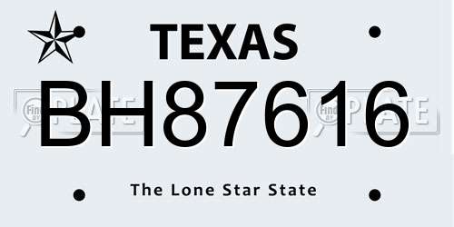 BH87616 Texas License Plate