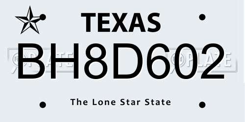 BH8D602 Texas License Plate