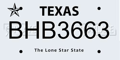 BHB3663 Texas License Plate