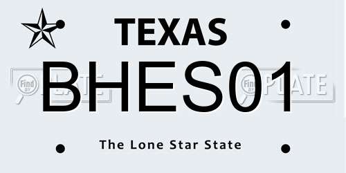 BHES01 Texas License Plate