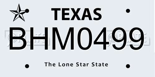 BHM0499 Texas License Plate