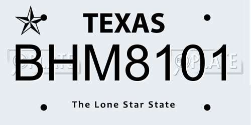 BHM8101 Texas License Plate