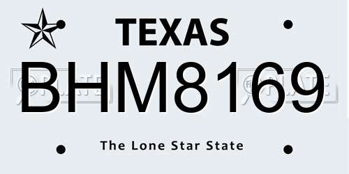 BHM8169 Texas License Plate
