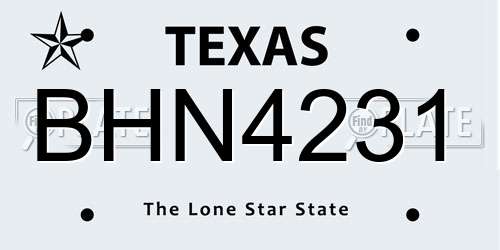 BHN4231 Texas License Plate