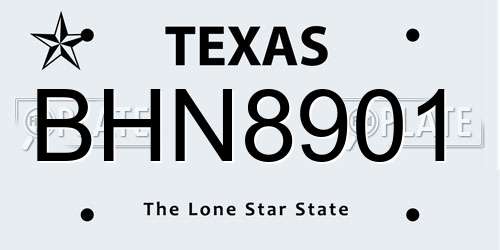 BHN8901 Texas License Plate