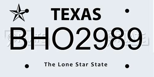 BHO2989 Texas License Plate