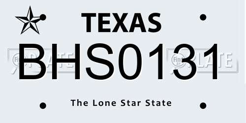BHS0131 Texas License Plate