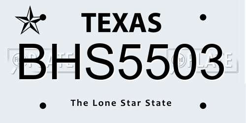 BHS5503 Texas License Plate