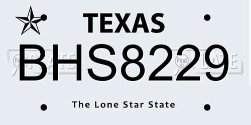 BHS8229 Texas License Plate