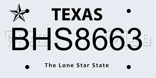 BHS8663 Texas License Plate