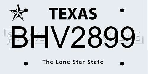 BHV2899 Texas License Plate