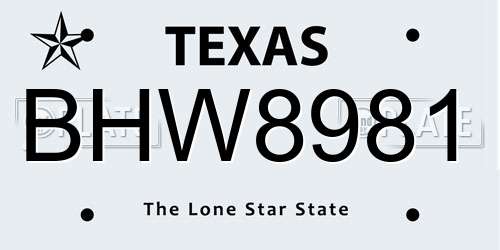 BHW8981 Texas License Plate