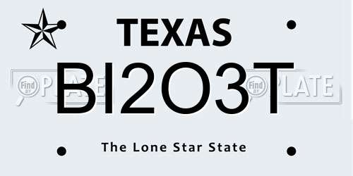 BI2O3T Texas License Plate