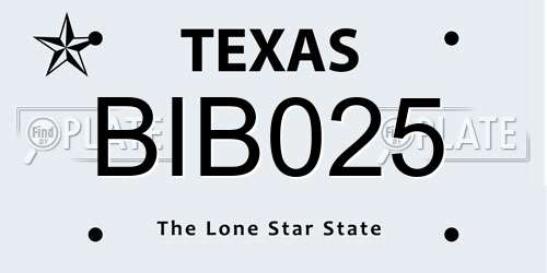 BIB025 Texas License Plate