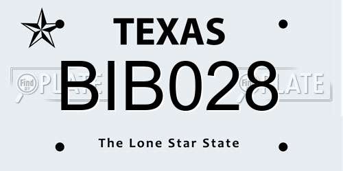 BIB028 Texas License Plate