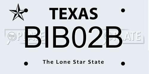 BIB02B Texas License Plate