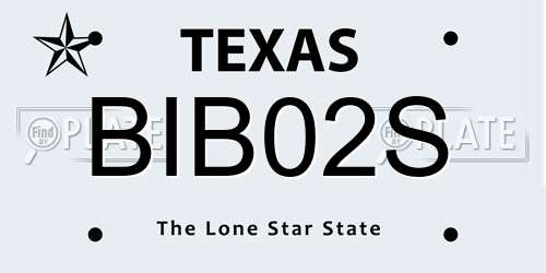 BIB02S Texas License Plate