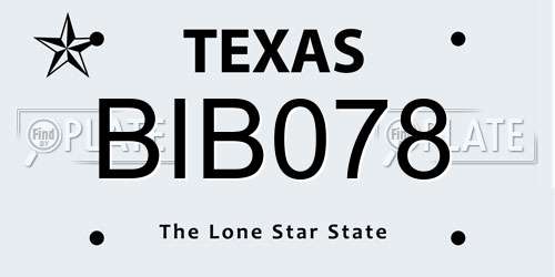 BIB078 Texas License Plate