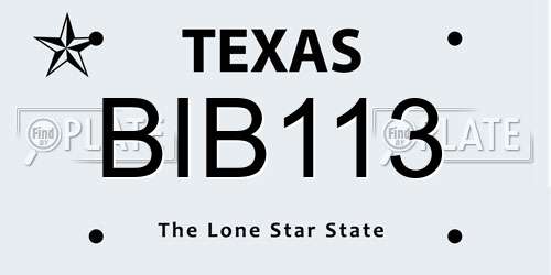 BIB113 Texas License Plate