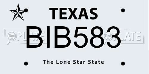 BIB583 Texas License Plate