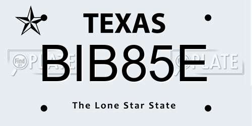 BIB85E Texas License Plate