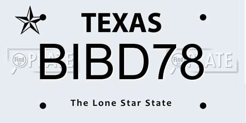 BIBD78 Texas License Plate