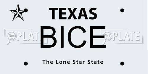 BICE Texas License Plate
