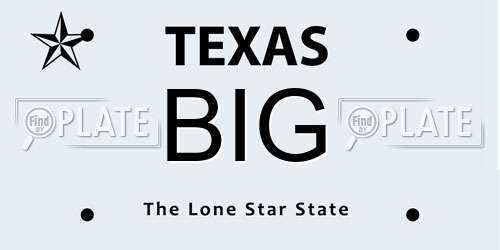 BIG Texas License Plate