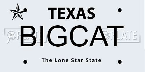 BIGCAT Texas License Plate