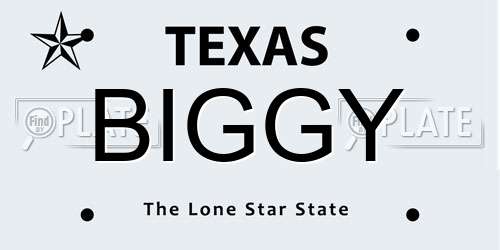 BIGGY Texas License Plate