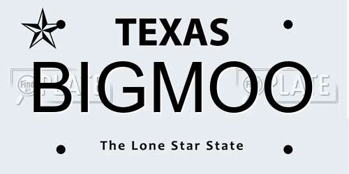 BIGMOO Texas License Plate