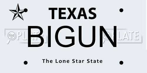 BIGUN Texas License Plate
