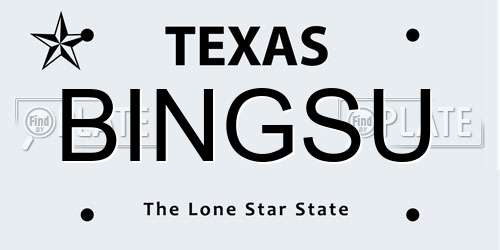 BINGSU Texas License Plate