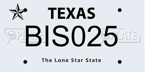 BIS025 Texas License Plate