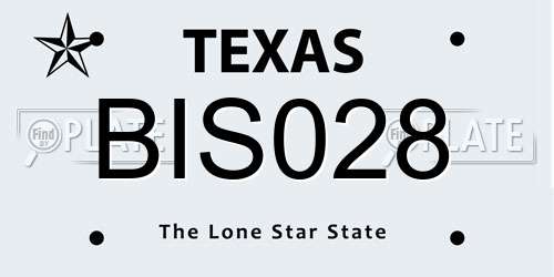 BIS028 Texas License Plate