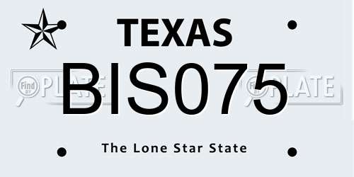 BIS075 Texas License Plate