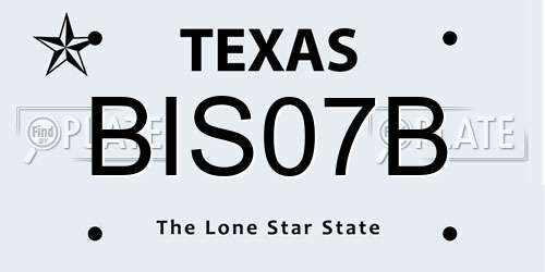 BIS07B Texas License Plate