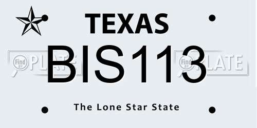 BIS113 Texas License Plate