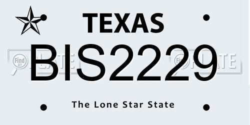 BIS2229 Texas License Plate