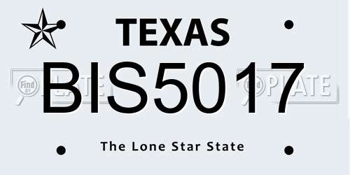 BIS5017 Texas License Plate