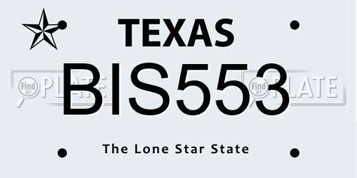 BIS553 Texas License Plate