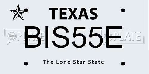BIS55E Texas License Plate