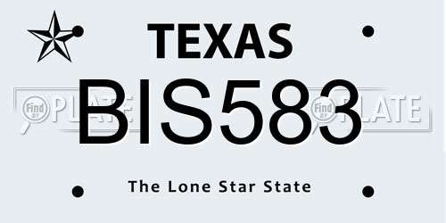 BIS583 Texas License Plate
