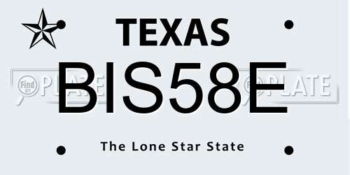 BIS58E Texas License Plate
