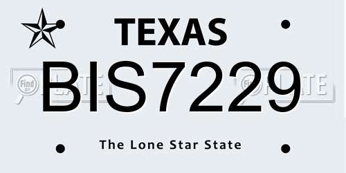 BIS7229 Texas License Plate