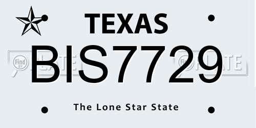 BIS7729 Texas License Plate