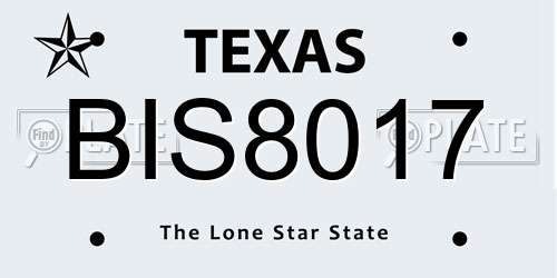 BIS8017 Texas License Plate