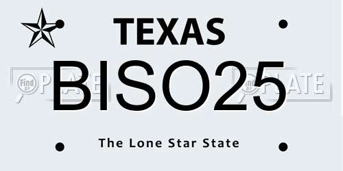 BISO25 Texas License Plate