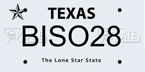 BISO28 Texas License Plate